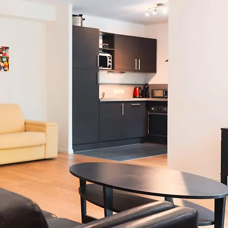 Apartment Spacieux T2 Au Centre-ville Avec Grande Piece De Vie - Fr-1-821-29